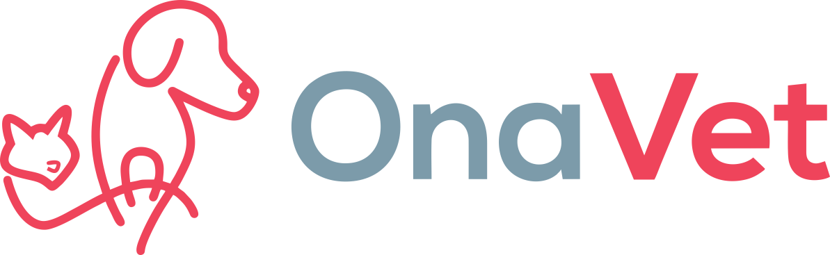 branding logo...